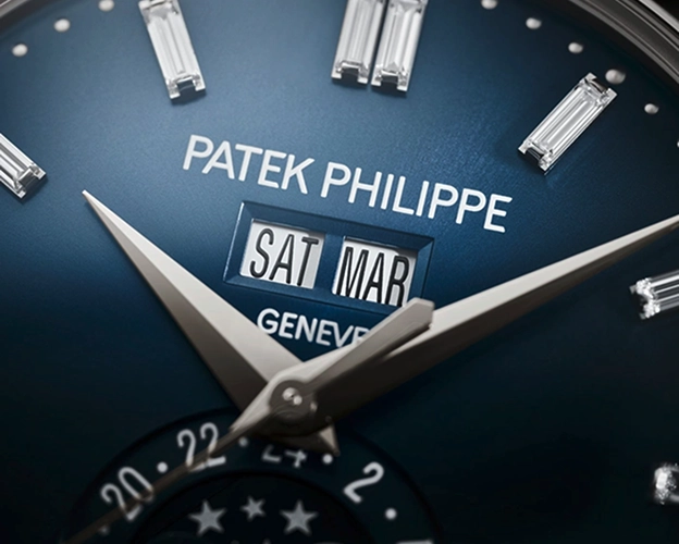 COMPLICATIONS - Patek Philippe ION Orchard