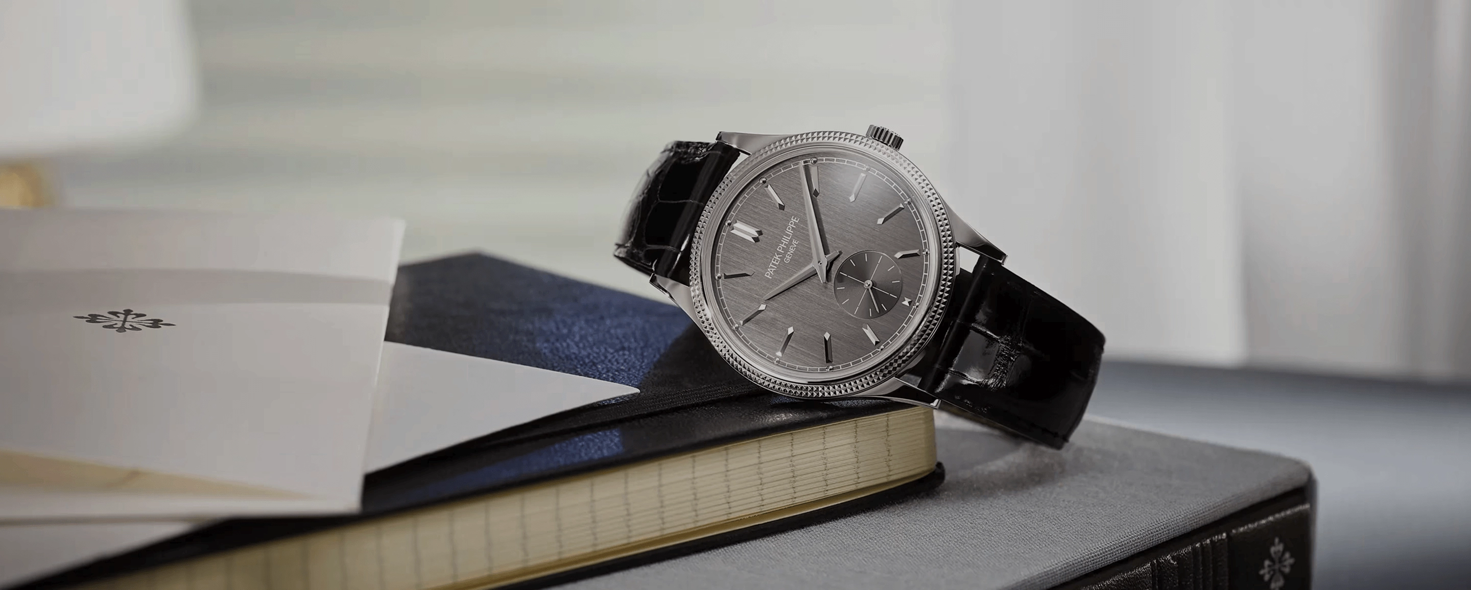 Consult a specialist - Patek Philippe ION Orchard